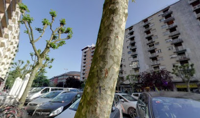 Farmacia Felipe IV