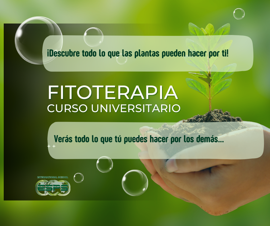 Curso de Fitoterapia Online